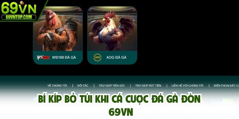 Bí kíp bỏ túi khi cá cược đá gà đòn 69vn