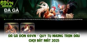 Đá gà đòn