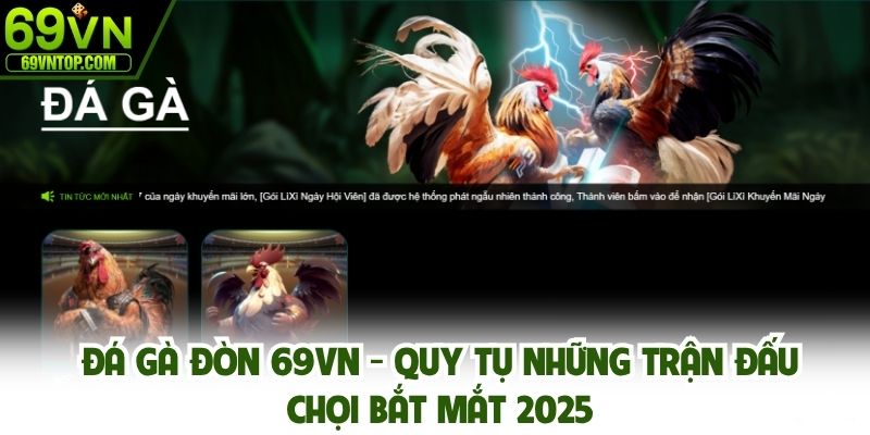 Đá gà đòn